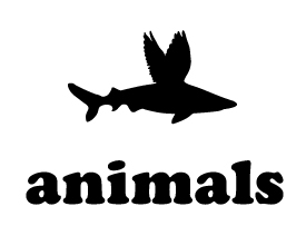 Animals Group is a top multidisciplinary team led by David Cervera, Creative Director. We design solutions through creativity and collaboration.