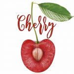 Cherry. Animals Group.
